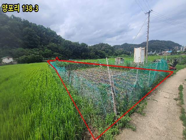 2013072551137