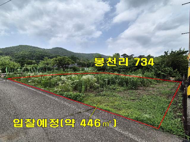2013073156894