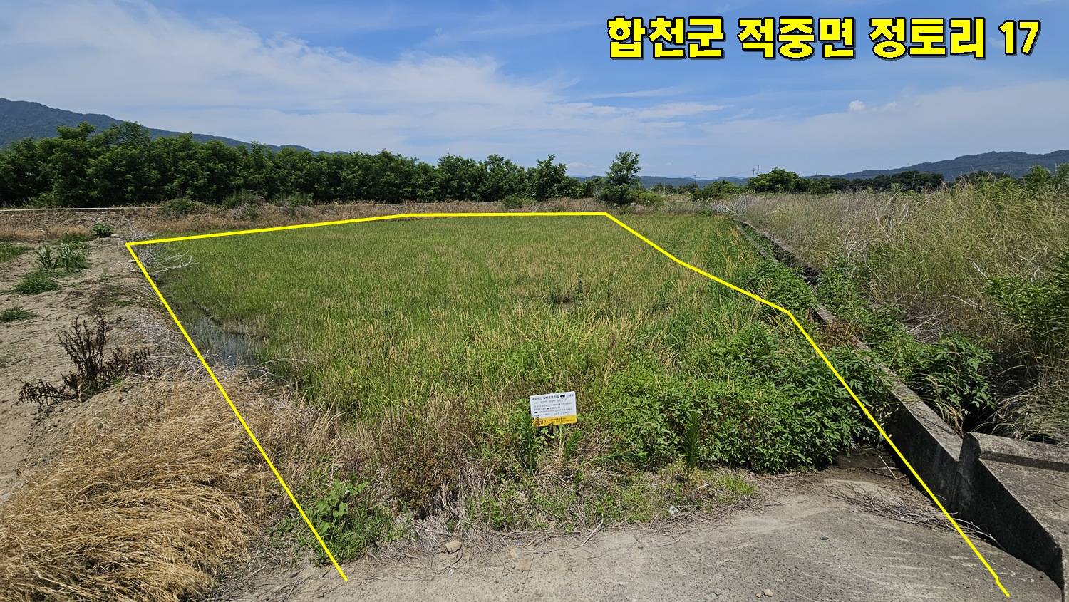 2013082066318 2