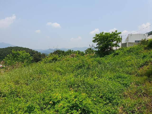 2013093092177