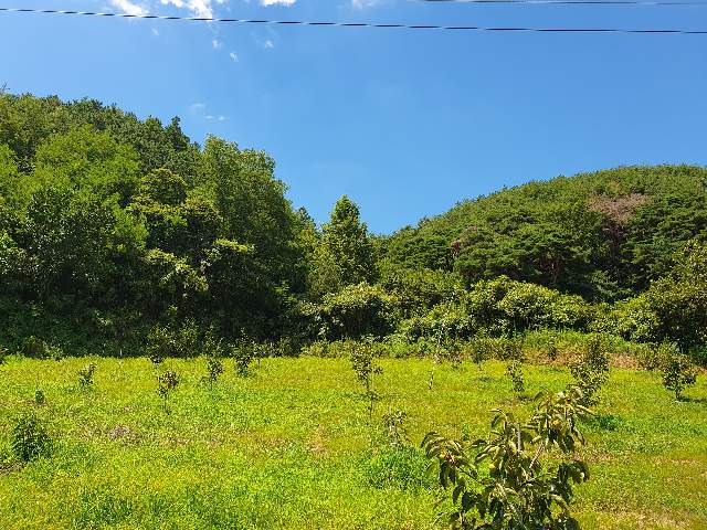 2013093092378