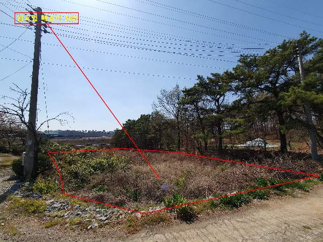 2013100294249