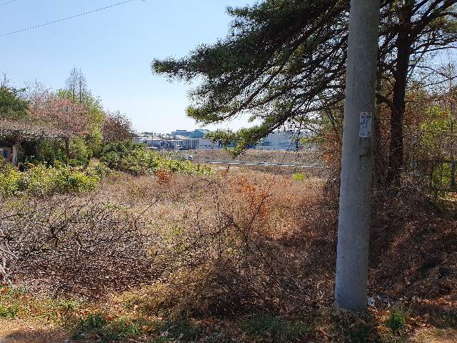 2013100294249