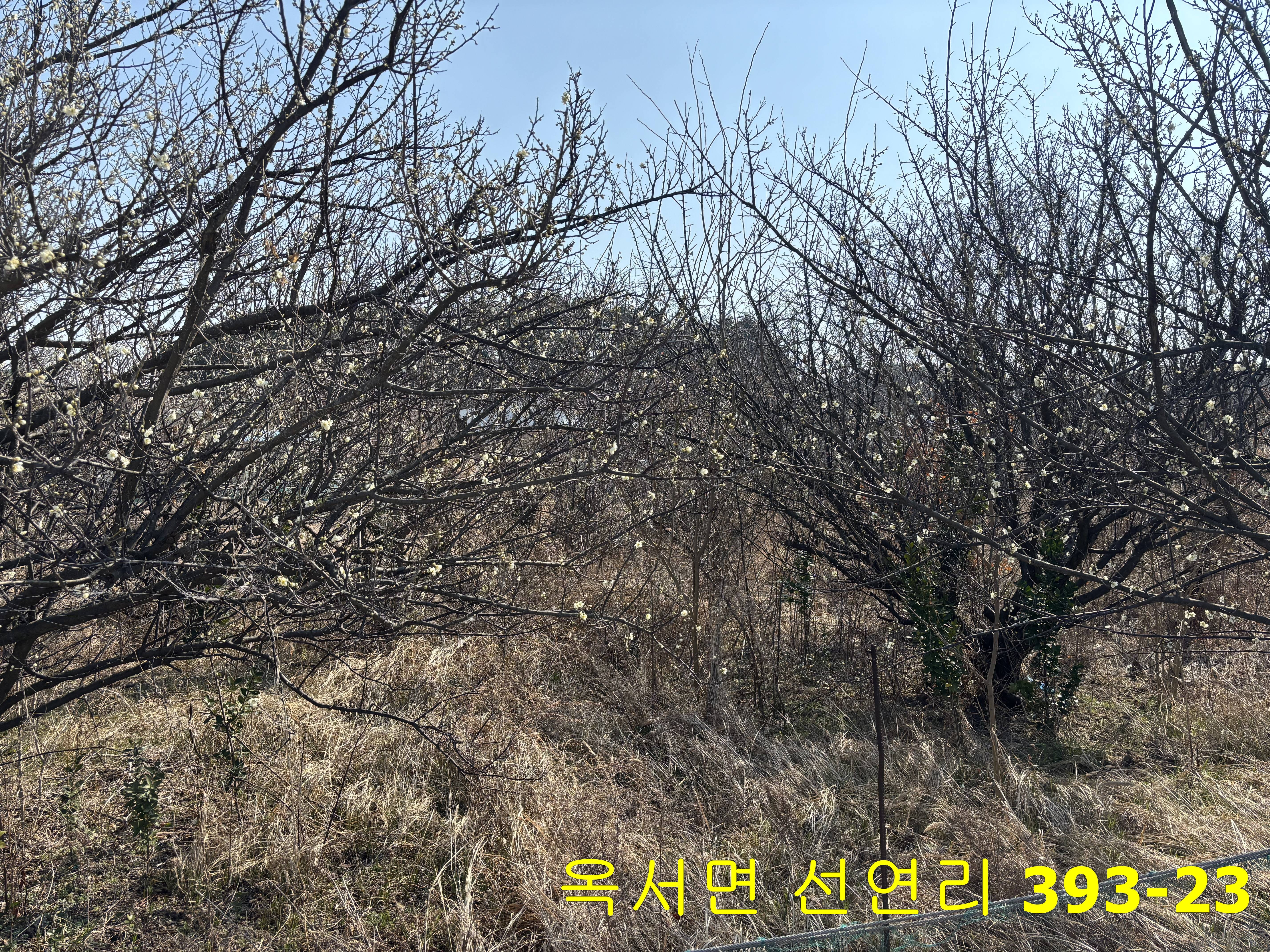 2014010627640