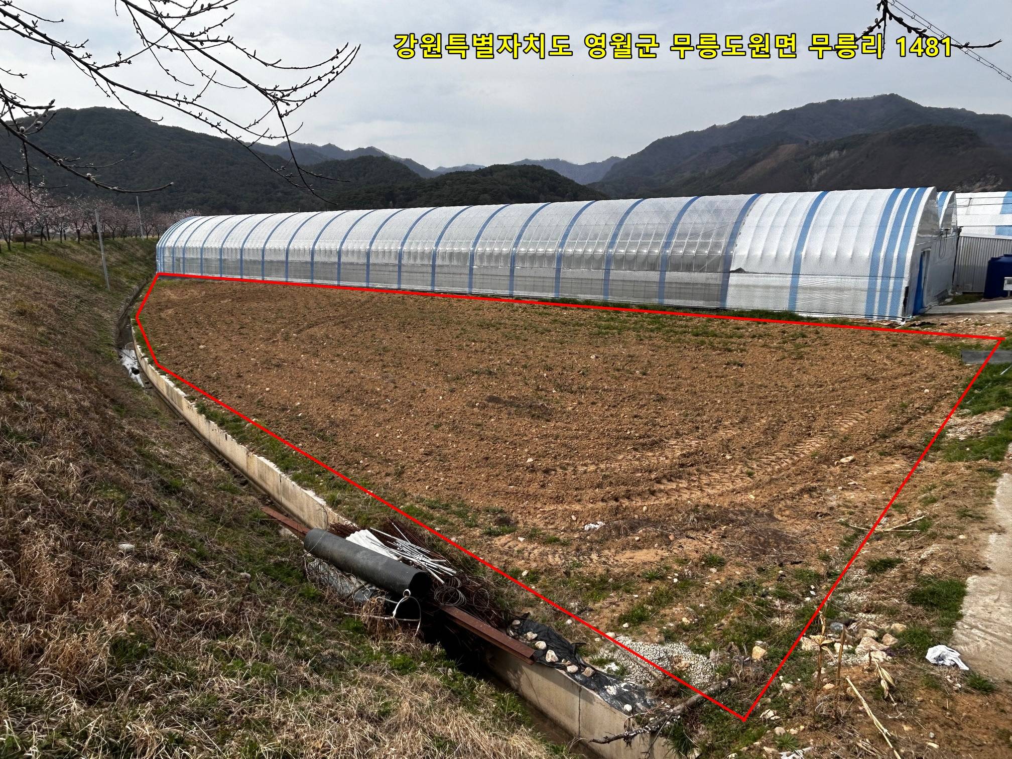 2014012033746