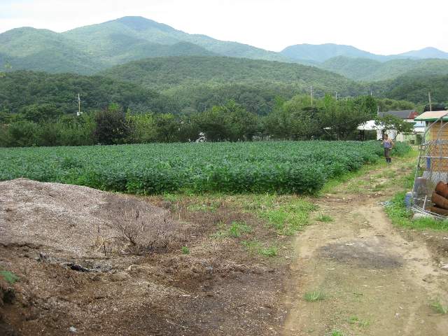 201503749006