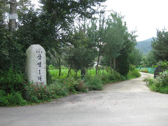 201503749006