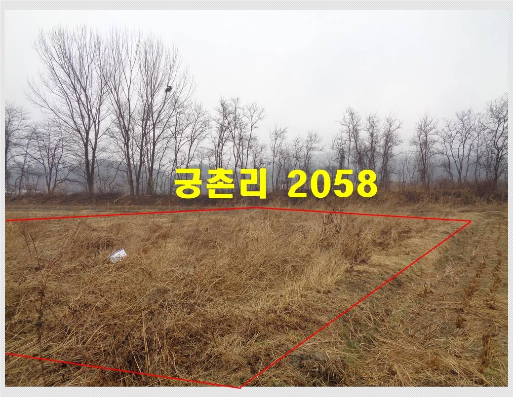 2015111952079