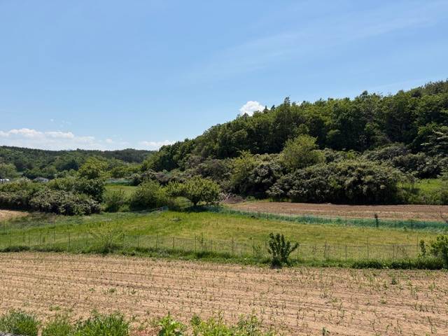 2019091043977 1