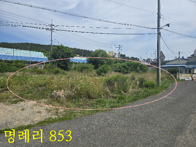 2019122460461