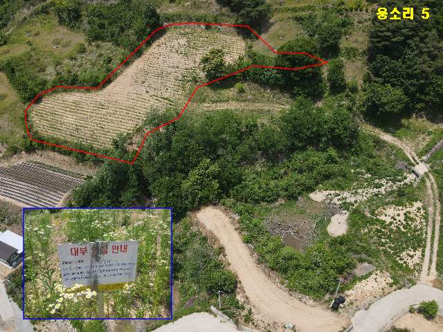 2020052595410