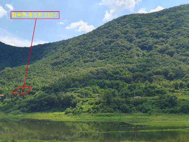 2020052595433