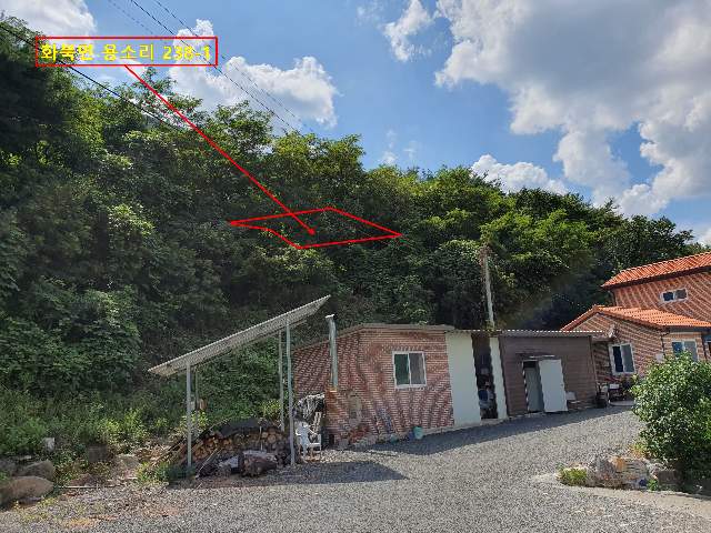 2020052595433