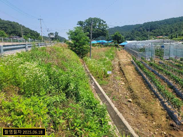 2020061904210