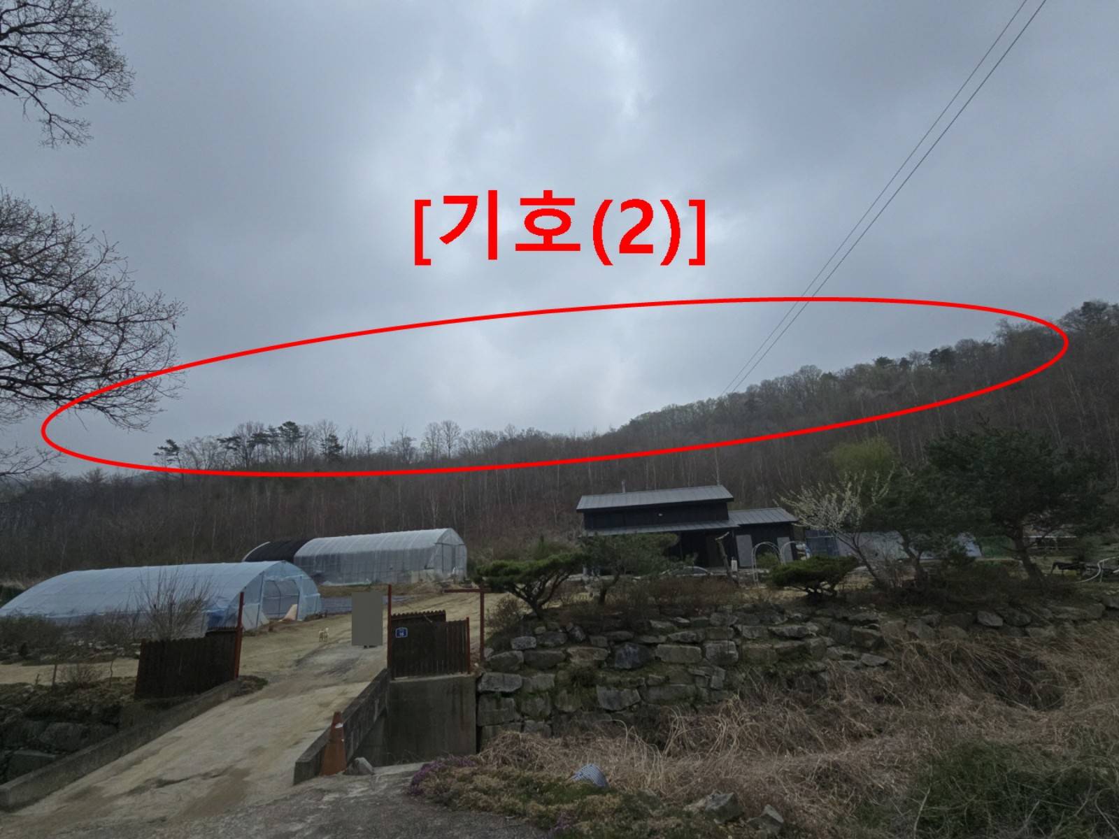 202207118013 1
