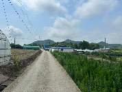 202302606006