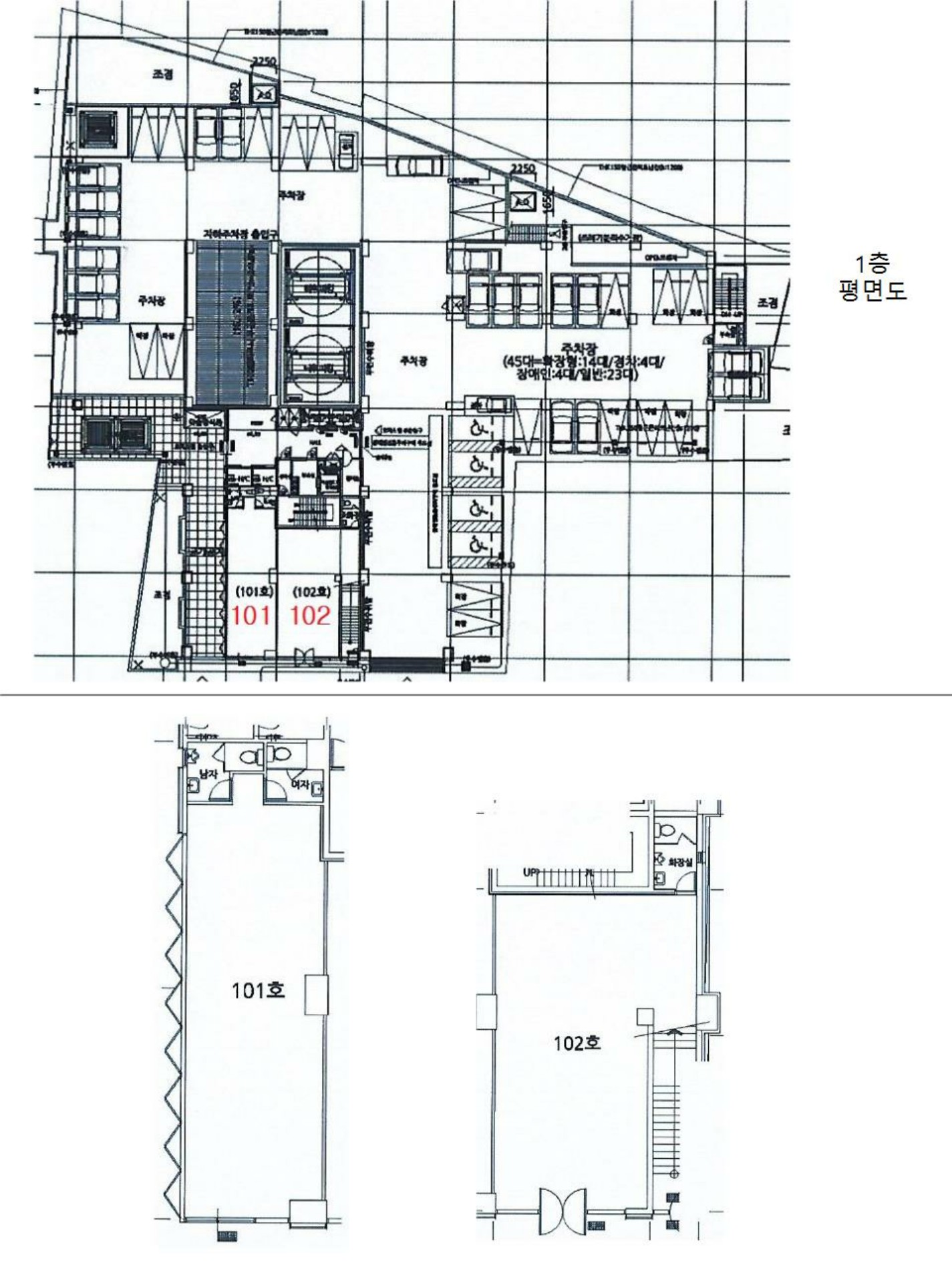 202307884004