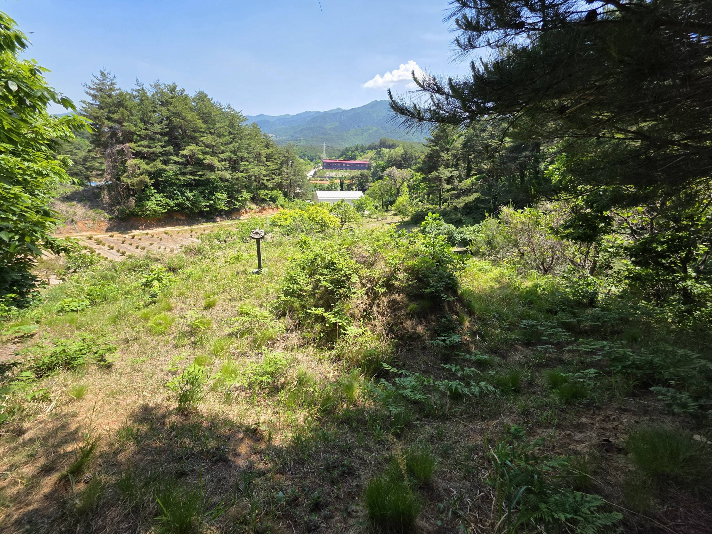 202310145001 2