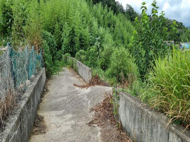 202314959001