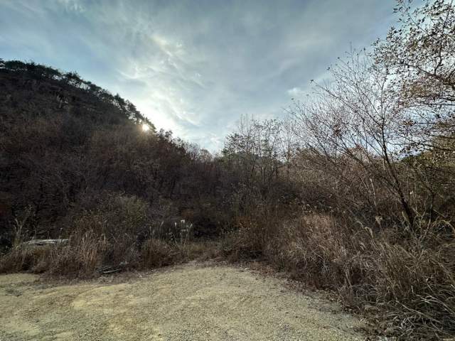 202315869003