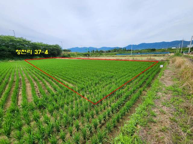 2024062776392
