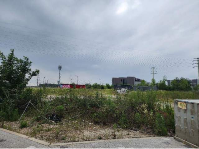 20240800066031 1