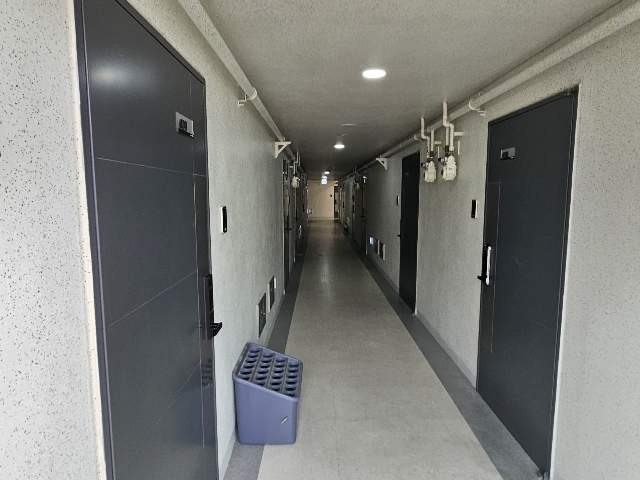 202410422001