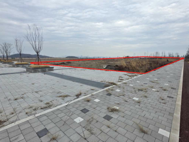 20250500030173