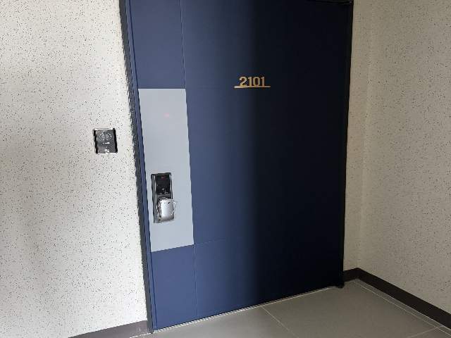 20250700047295