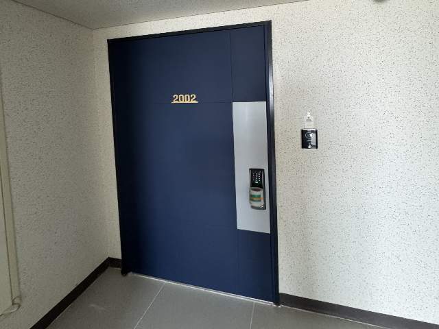 20250700047296