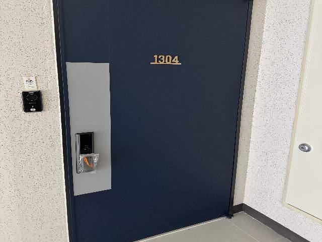 20250700047301