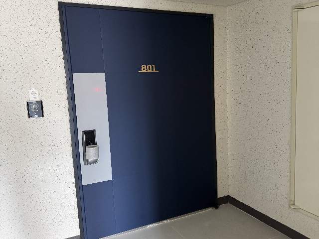20250700047310