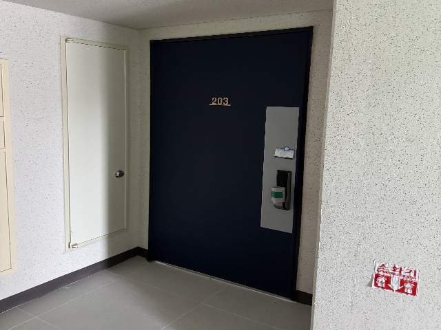 20250700047319