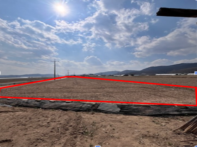 20250700054505