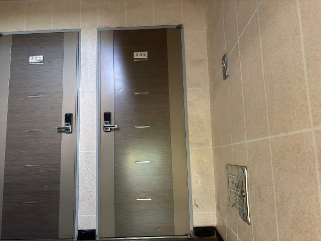 20250800058274