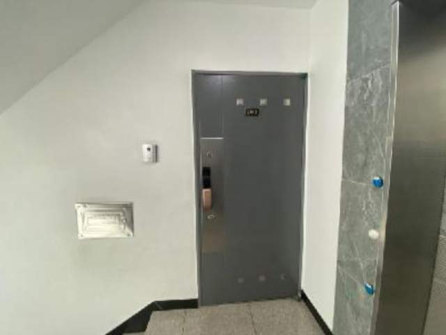 20250800059556