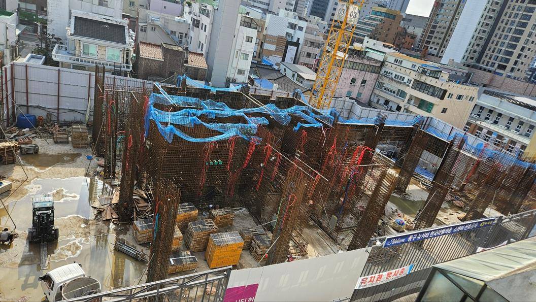20250800059877