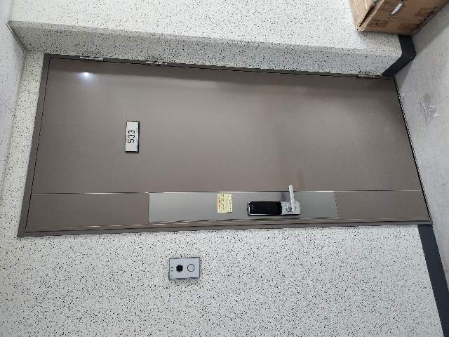 20250800060876