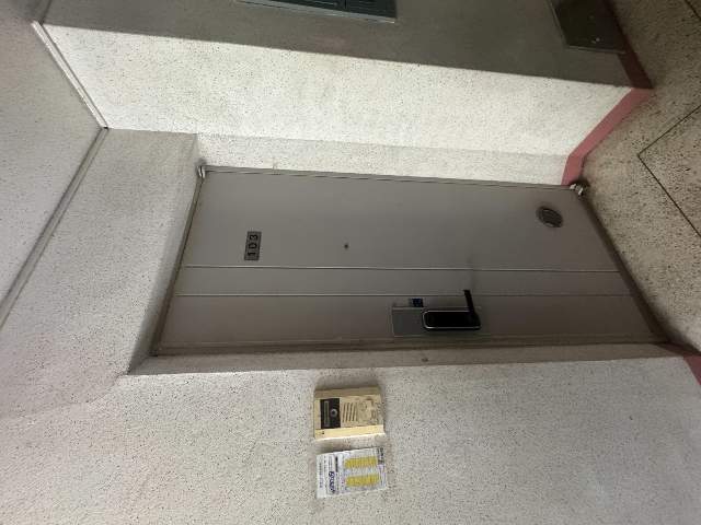 20250800061351