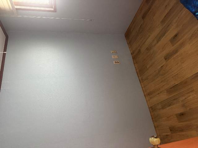 20250800061362