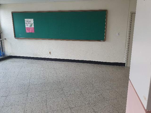 20250800061457