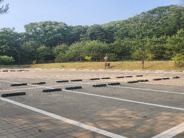 20250800062351