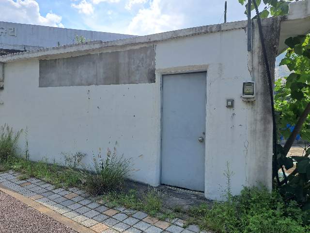 20250900064534