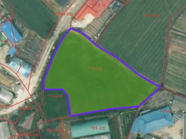 20250900064835