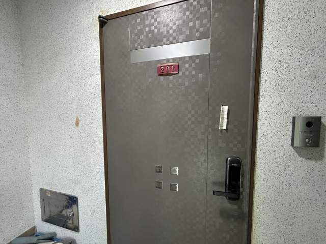 20250900065287