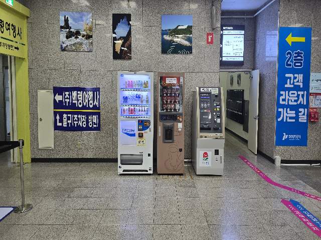 20250900067519