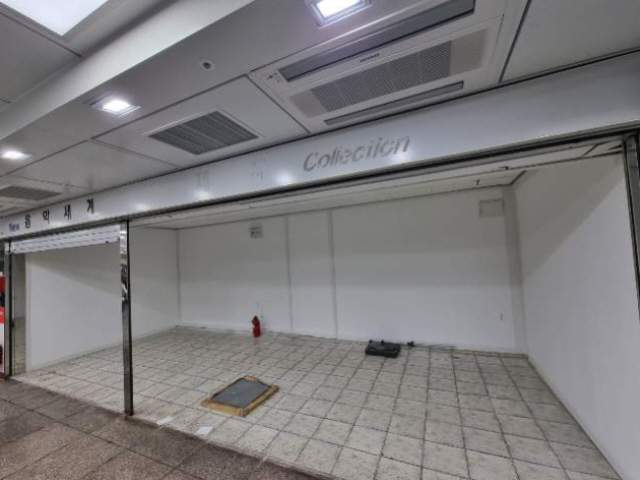 20250900067648