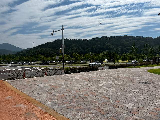 20250900067913