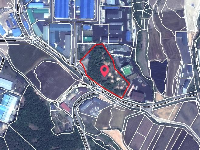 20260500025678