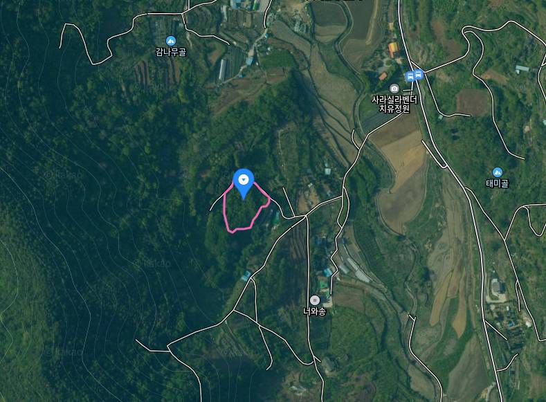 20261000054238 2